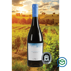 &Omicron;&iota;&nu;&omicron;&pi;&om...