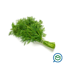 &Phi;&rho;έ&sigma;&kappa;&omicron;&...