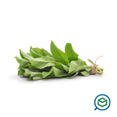 &Phi;&rho;έ&sigma;&kappa;&omicron;&...