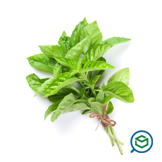 &Phi;&rho;έ&sigma;&kappa;&omicron;&...