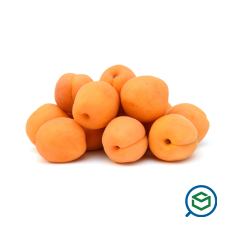 &Beta;&epsilon;&rho;ί&kappa;&omicro...