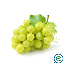 &Sigma;&tau;&alpha;&phi;ύ&lambda;&i...