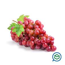 &Sigma;&tau;&alpha;&phi;ύ&lambda;&i...