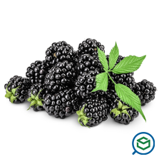 &Mu;&alpha;ύ&rho;&alpha;...