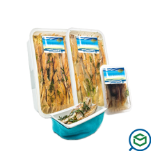 &Phi;&alpha;&nu;ά&rho;&iota; -...