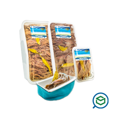 &Phi;&alpha;&nu;ά&rho;&iota; -...