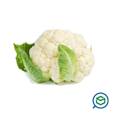 &Kappa;&omicron;&upsilon;&nu;&omicr...