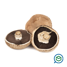 &Mu;&alpha;&nu;&iota;&tau;ά&rho;&io...