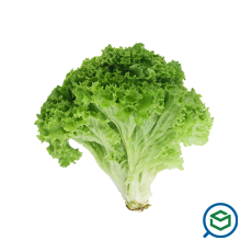 &Mu;&alpha;&rho;&omicron;ύ&lambda;&...