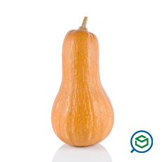 &Kappa;&omicron;&lambda;&omicron;&k...