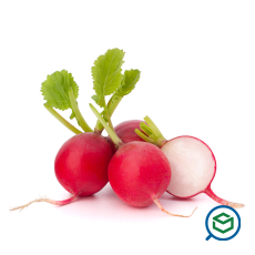 &Rho;&alpha;&pi;&alpha;&nu;ά&kappa;...