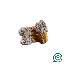 Olympus Bakery & Pastry -...