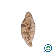 &Pi;&iota;&epsilon;&rho;&iota;&kapp...