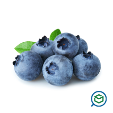 &Mu;ύ&rho;&tau;&iota;&lambda;&alpha...