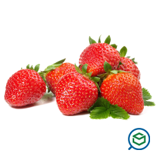 &Phi;&rho;ά&omicron;&upsilon;&lambd...