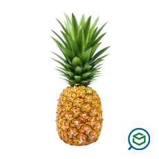 &Alpha;&nu;&alpha;&nu;ά&sigmaf; -...